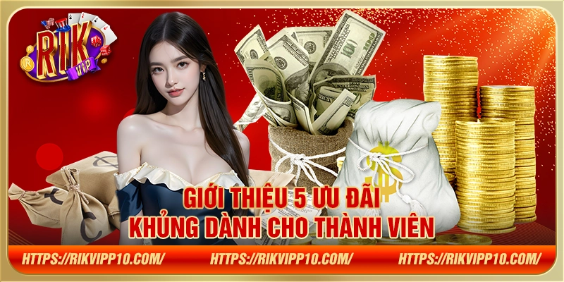 Giới thiệu 5 ưu đãi khủng dành cho thành viên